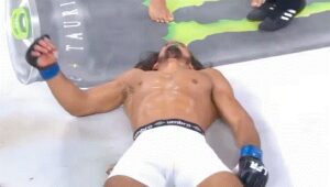 Read more about the article ‘KO of the year contender’ – MMA star sends rival’s face into canvas with stunning spinning elbow