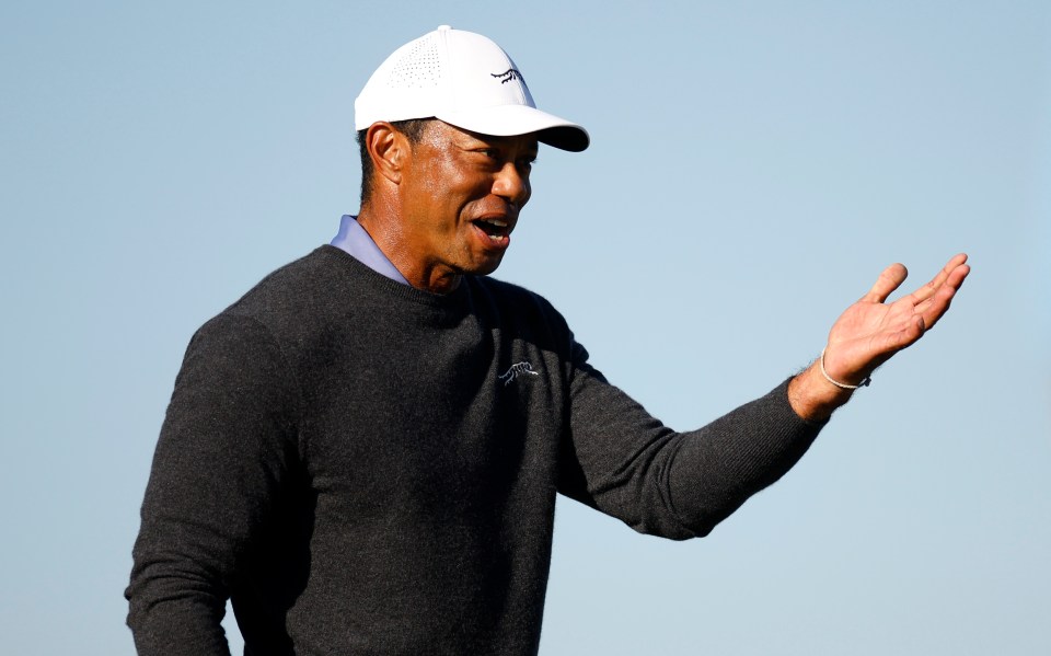 You are currently viewing Tiger Woods made staggering eight-figure sum from PGA Tour despite playing just 10 times