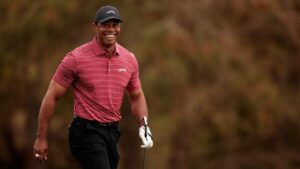 Read more about the article Woods could be ‘steward of the game’ in leader era