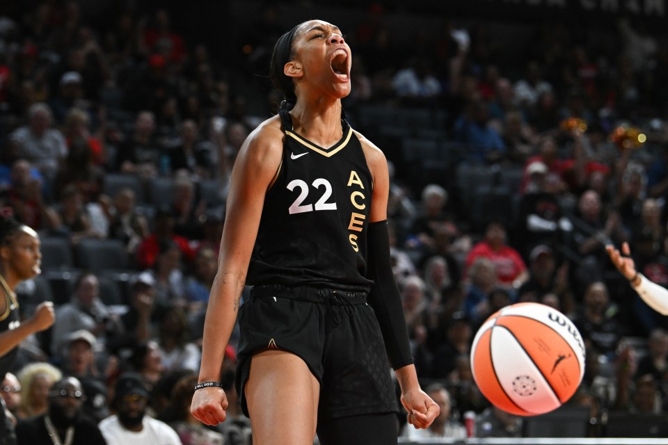 Read more about the article ‘Switch body parts’ – Aj’a Wilson’s brutal verdict on WNBA challenges versus NBA despite $53million record-breaking Caitlin Clark effect