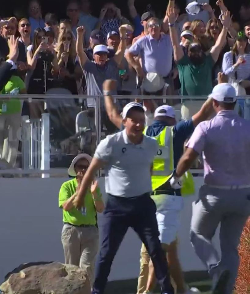 You are currently viewing Golf star emulates Tiger Woods and sparks absurd crowd scenes with epic hole-in-one at WM Phoenix Open