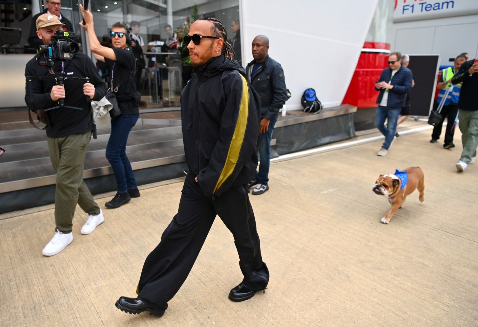 Read more about the article Lewis Hamilton’s vegan bulldog loves quad-biking and has more followers than some F1 drivers