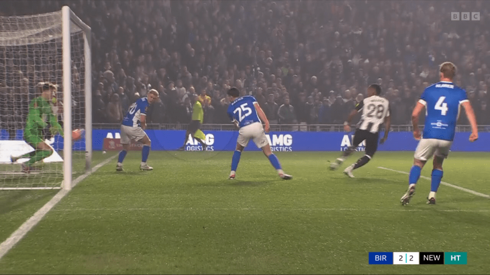 You are currently viewing ‘How could you tell?’ – Newcastle’s equaliser shrouded in controversy with no goal-line technology on offer