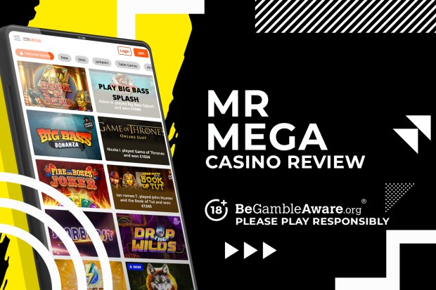 Read more about the article Mr Mega online casino review and bonus offers 2025