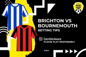 Read more about the article Brighton & Hove Albion v Bournemouth predictions, odds and betting tips