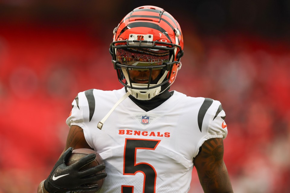 Read more about the article Tee Higgins’ mom denies ‘selfish’ Bengals claim as Chad Johnson says $100m star needs to leave team