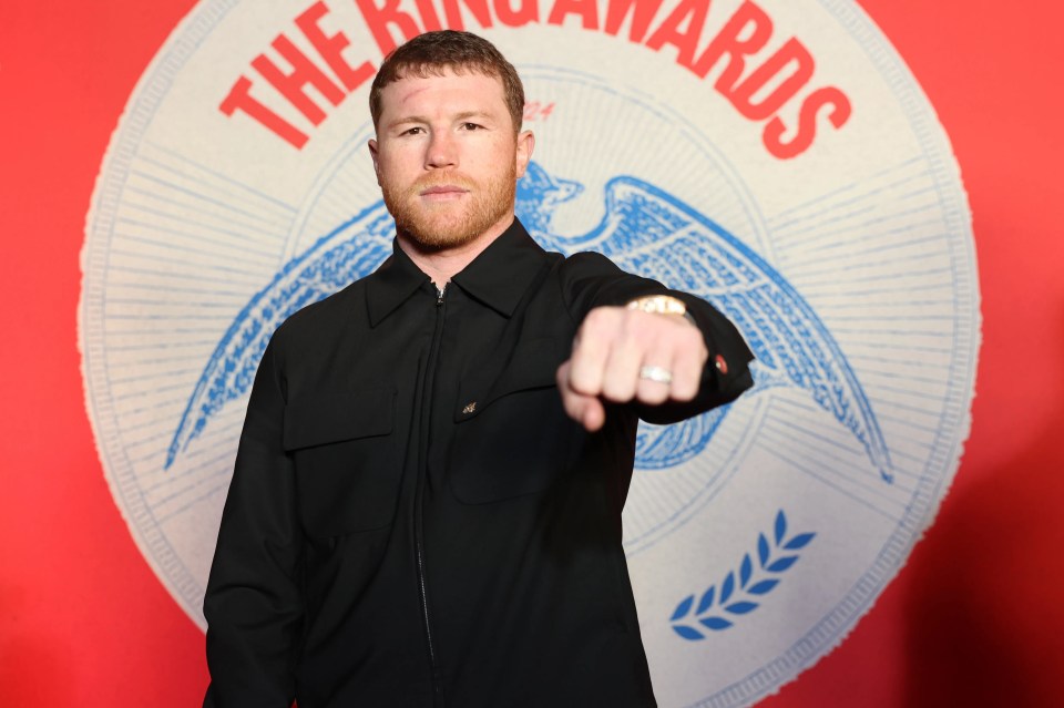 Read more about the article Canelo Alvarez and Terence Crawford reach agreement for blockbuster showdown with date and location confirmed