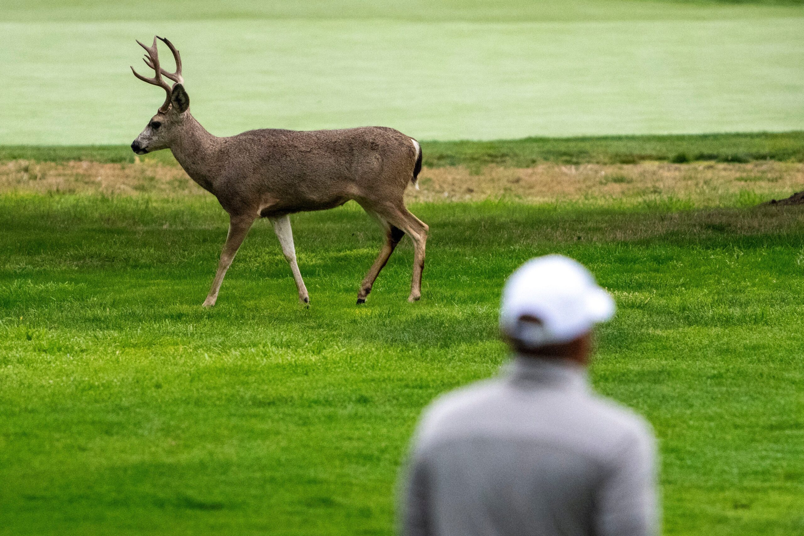 You are currently viewing Third-round tee times, how to watch the 2025 AT&T Pebble Beach Pro-Am