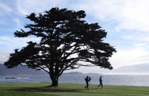 Read more about the article Loran Smith: Pebble Beach continues to be one of golf’s prime destinations