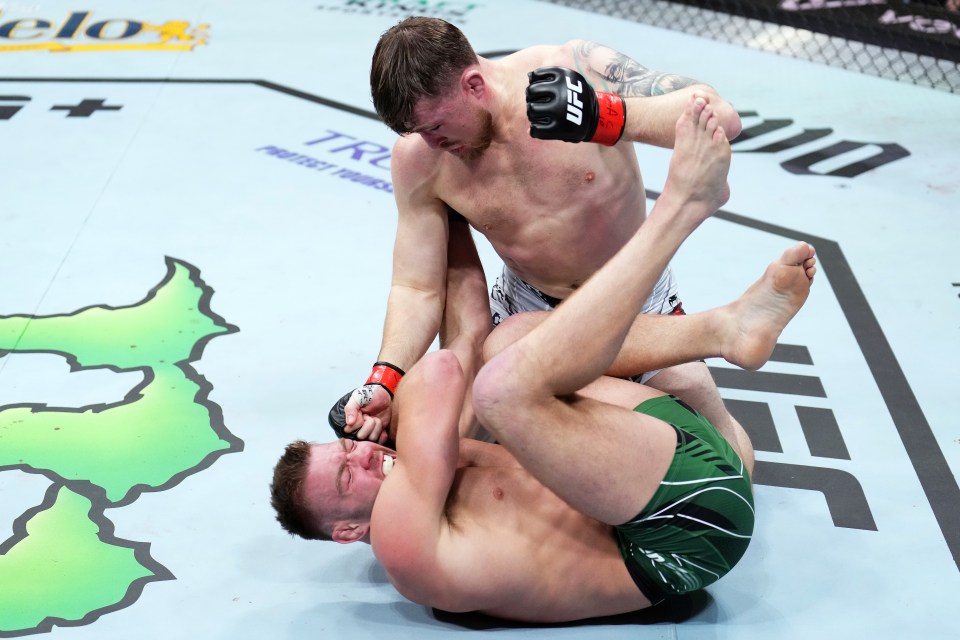 You are currently viewing ‘He wasn’t a problem’ – Darren Till slams UFC champion as he confirms interest in returning to Dana White’s promotion