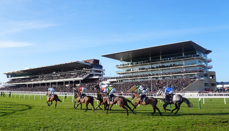 You are currently viewing Cheltenham Festival 2025 prize money: Winners set to take home record-breaking reward at iconic event