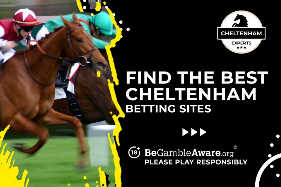 Read more about the article Best Cheltenham betting offers and free bets for 2025