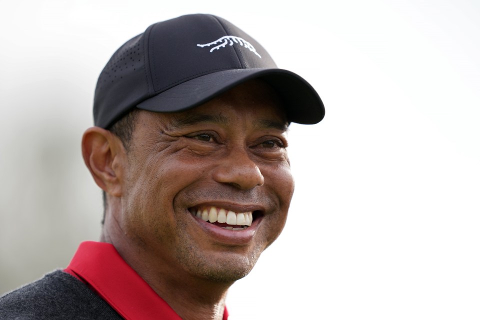 You are currently viewing Michael Jordan and Cristiano Ronaldo earned billions but can’t match Tiger Woods money record