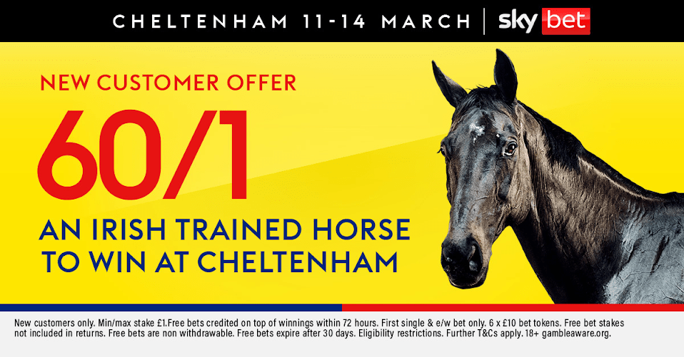 You are currently viewing Cheltenham Festival offer: Get 60/1 for an Irish trained winner on Sky Bet