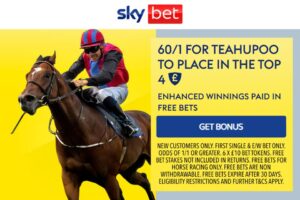 Read more about the article Cheltenham Festival: Get 60/1 on Teahupoo to place in the top four with Sky Bet