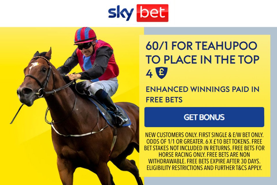 You are currently viewing Cheltenham Festival: Get 60/1 on Teahupoo to place in the top four with Sky Bet