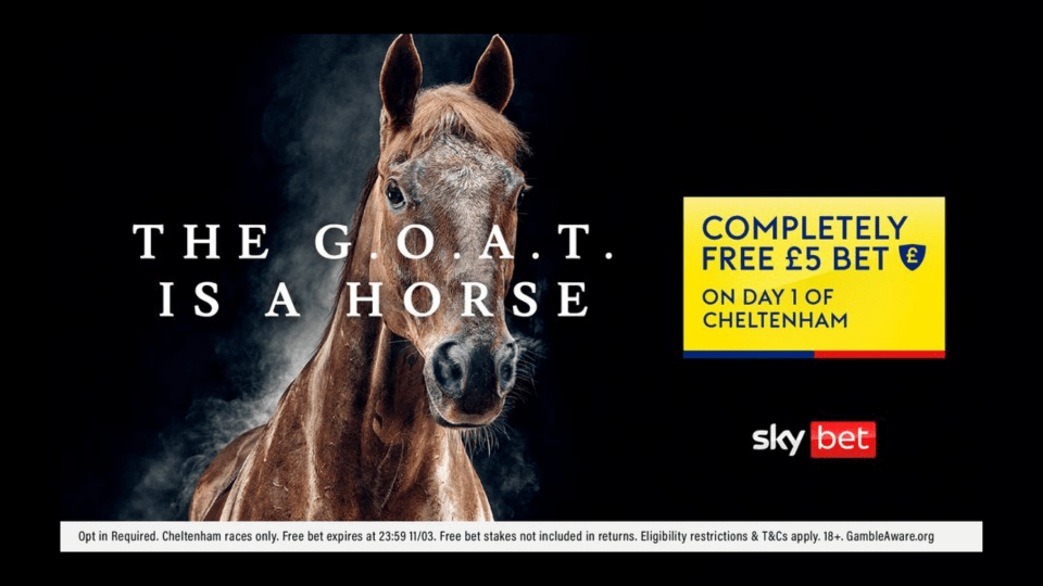 You are currently viewing Cheltenham Festival betting offer: Free £5 bet on Day 1 with Sky Bet