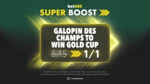 Read more about the article Cheltenham Festival bet365 Super Boost: Galopin Des Champs to win NOW 1/1