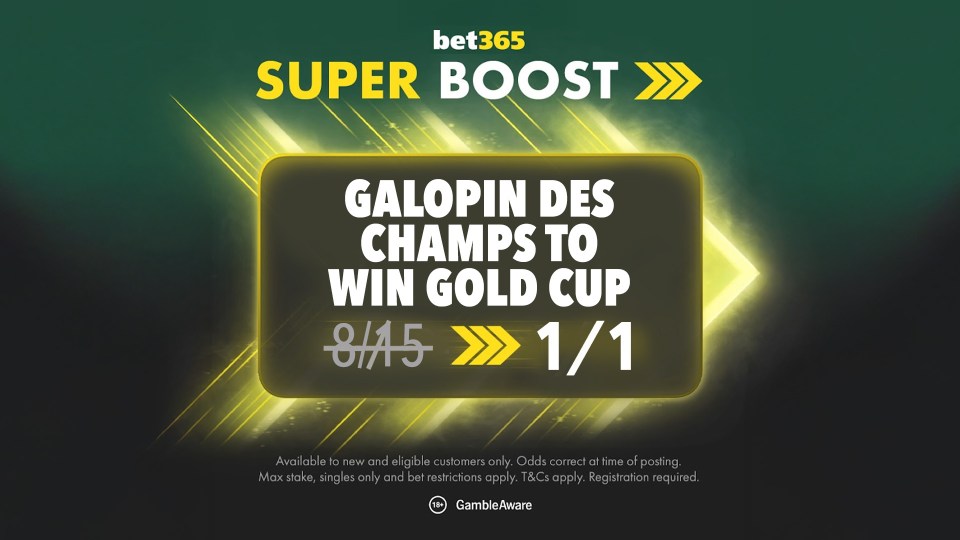 You are currently viewing Cheltenham Festival bet365 Super Boost: Galopin Des Champs to win NOW 1/1