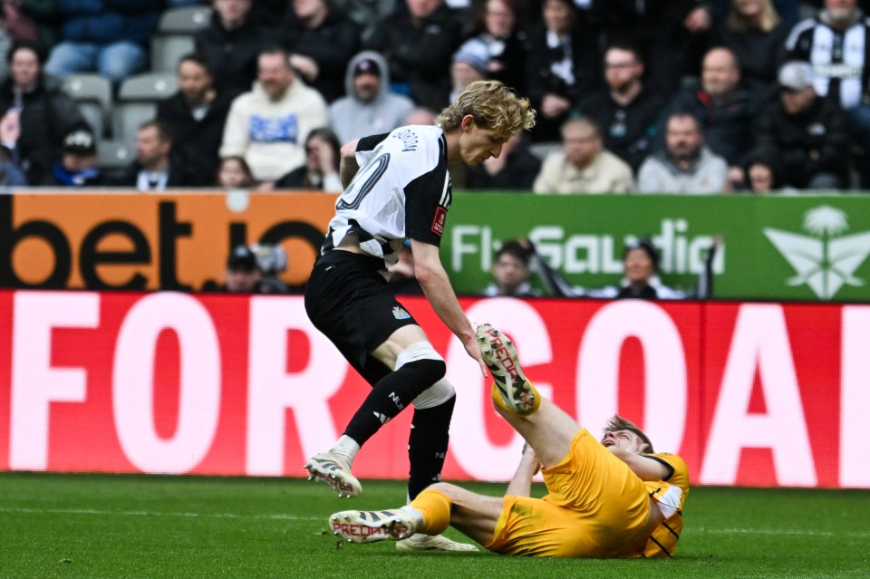 You are currently viewing Will Anthony Gordon miss the Carabao Cup final? Newcastle star sent off in moment of madness against Brighton