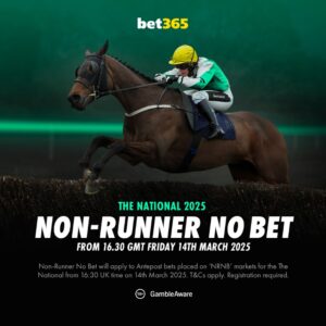 Read more about the article Grand National 2025 Non Runner No Bet on bet365