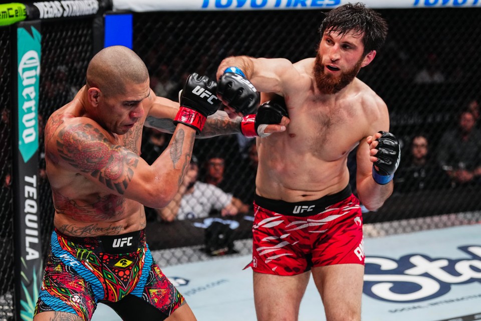 You are currently viewing Magomed Ankalaev defeats Alex Pereira in tight decision win at UFC 313 to derail future Jon Jones fight