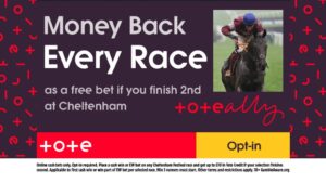 Read more about the article Cheltenham Festival betting offer: Get Money Back 2nd on every race on Tote