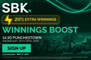 Read more about the article Punchestown Festival offer: Get 20% winnings boost with SBK