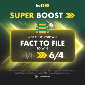 Read more about the article Punchestown Festival bet365 Super Boost: Fact To File to win NOW 1/1