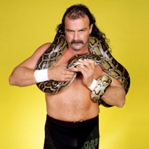 Read more about the article WWE legend shares cancer update as stars reunite for iconic photo 40 years after classic matches