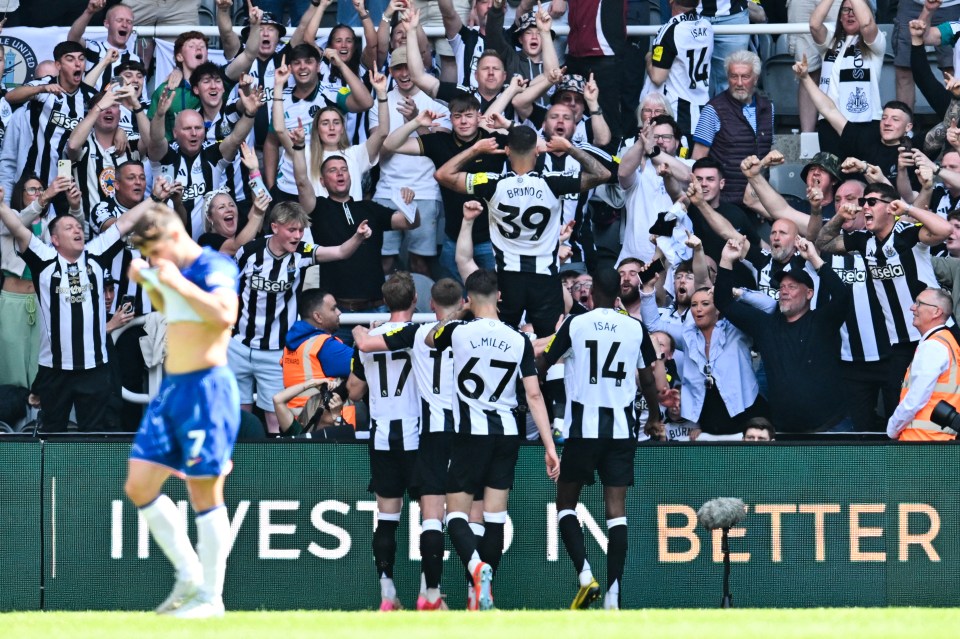 You are currently viewing Arsenal vs Newcastle LIVE: TV channel, kick-off time and team news as Magpies look to secure Champions League football