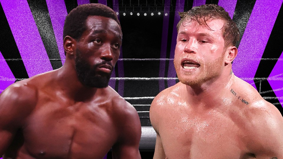 You are currently viewing Canelo Alvarez vs Terence Crawford date and venue confirmed after terrible William Scull fight