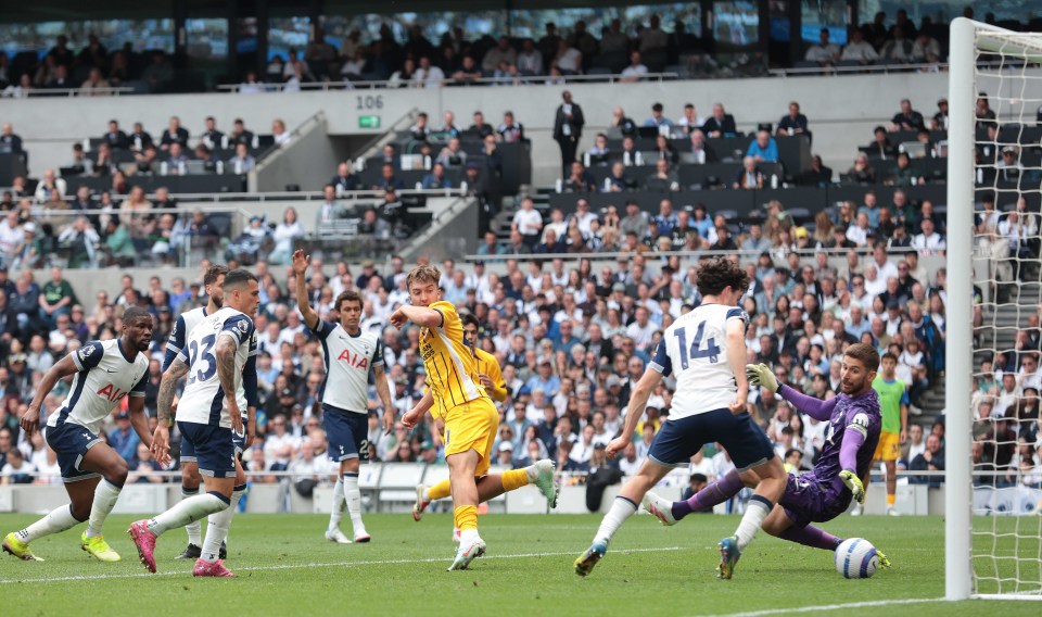 You are currently viewing Why Brighton miss out on Europe despite finishing eighth despite Tottenham demolition