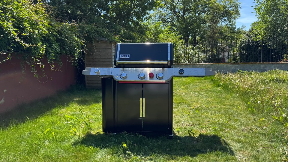 You are currently viewing Weber Genesis Gas BBQ review: Will it make you King of the Grill?