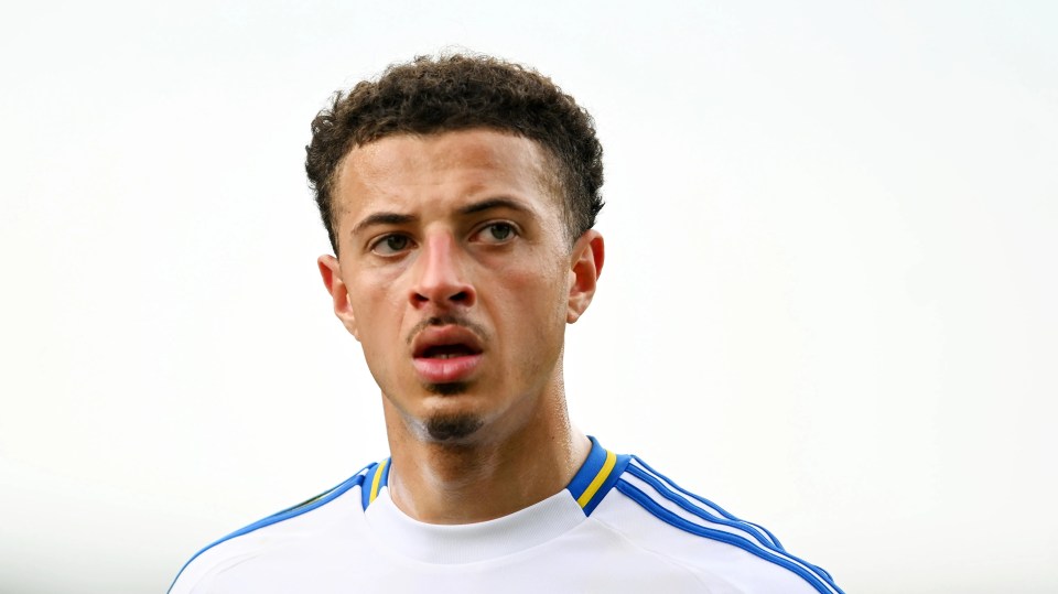 Read more about the article Leeds issue statement in response to pictures of Ethan Ampadu’s son wearing Galatasaray shirt