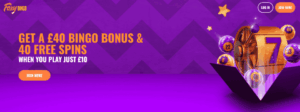 Read more about the article Best bingo bonus offers in the UK (2025)