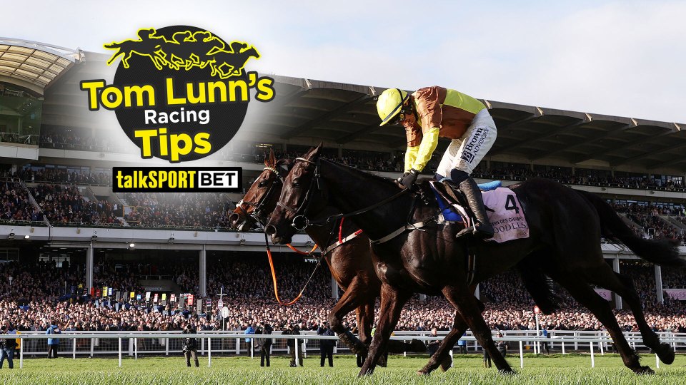 You are currently viewing Wednesday horse racing tips at Chester and Newton Abbot from Tom Lunn