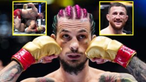 Read more about the article Conor McGregor weighs in on UFC 316 main event with five-word Sean O’Malley response: ‘Big fight feel’