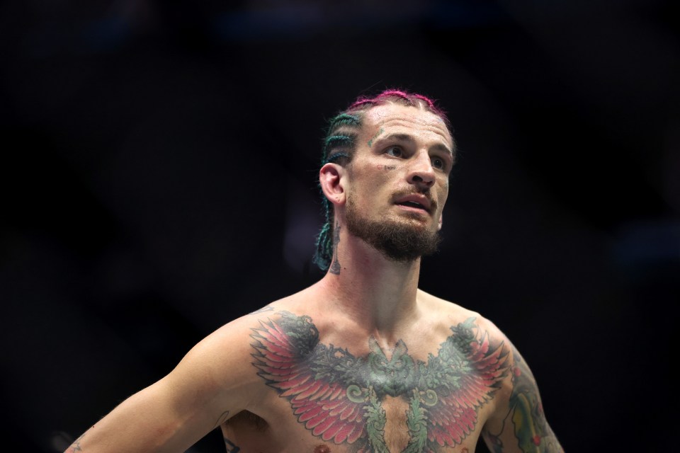 Read more about the article Joe Rogan and Michael Bisping agree on Sean O’Malley vs Merab Dvalishvili UFC 316 prediction: ‘That guy’s superhuman’